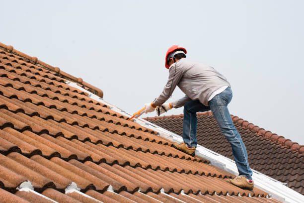 Best Wood Shake Roofing  in Ashdown, AR